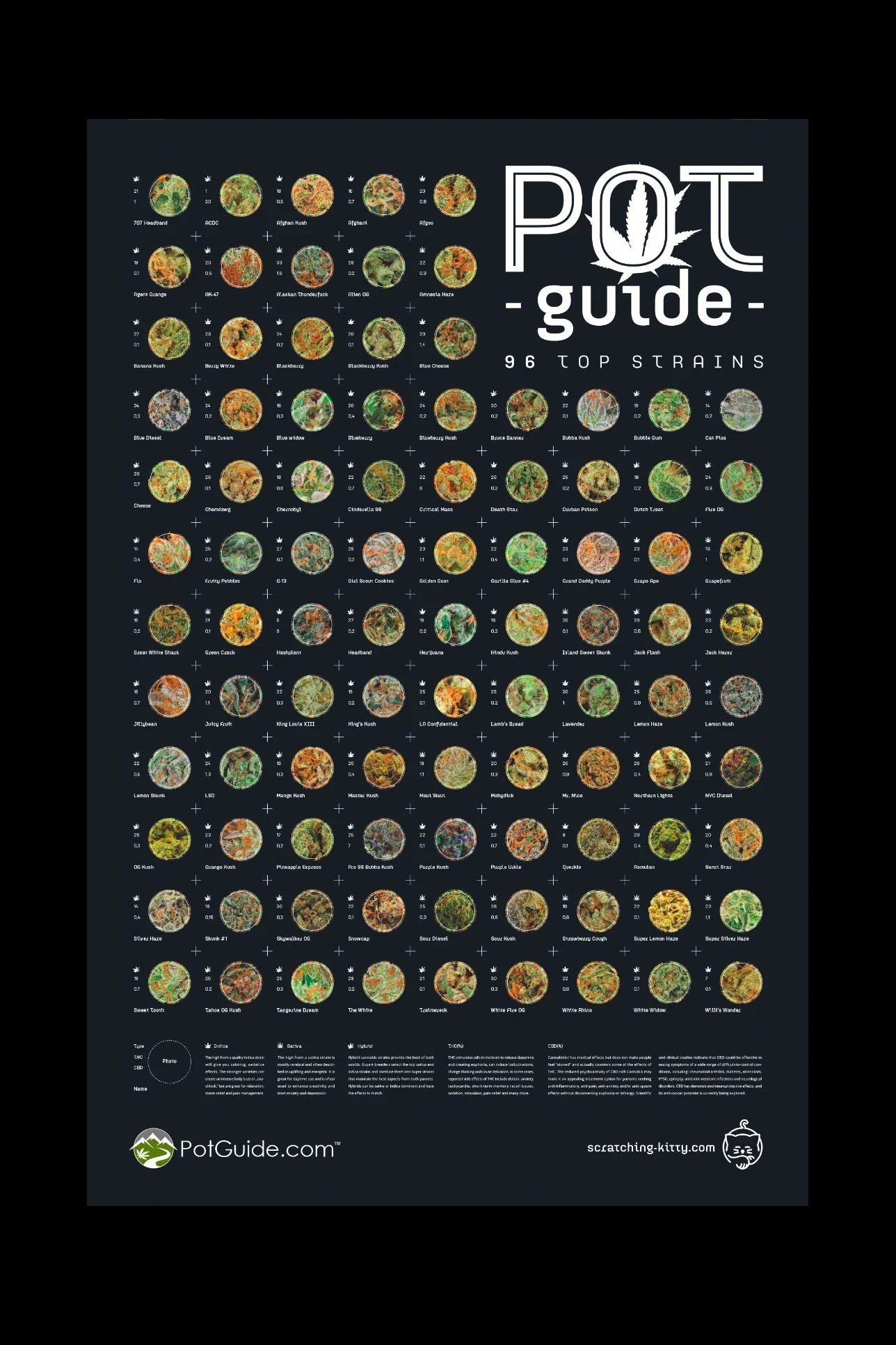 Image of The Scratching Kitty Pot Guide Poster