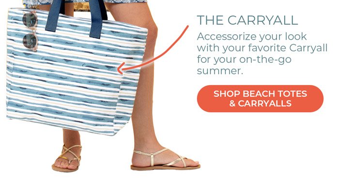 shop beach totes and carryalls