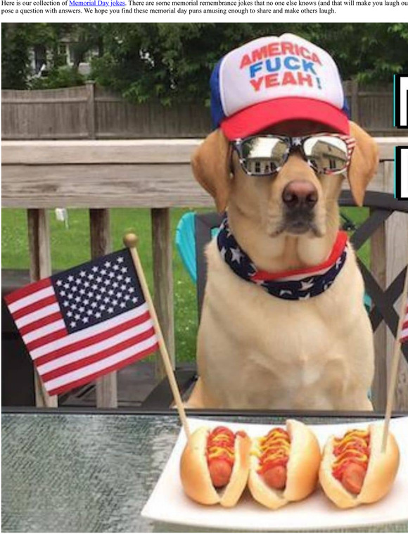 Best Memorial Day Jokes