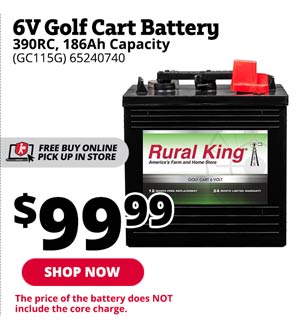 RK 6V Golf Cart Battery