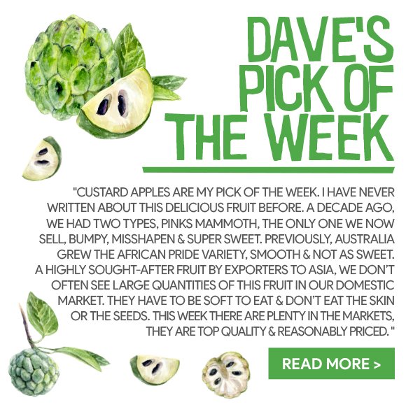 Dave's Pick of the Week