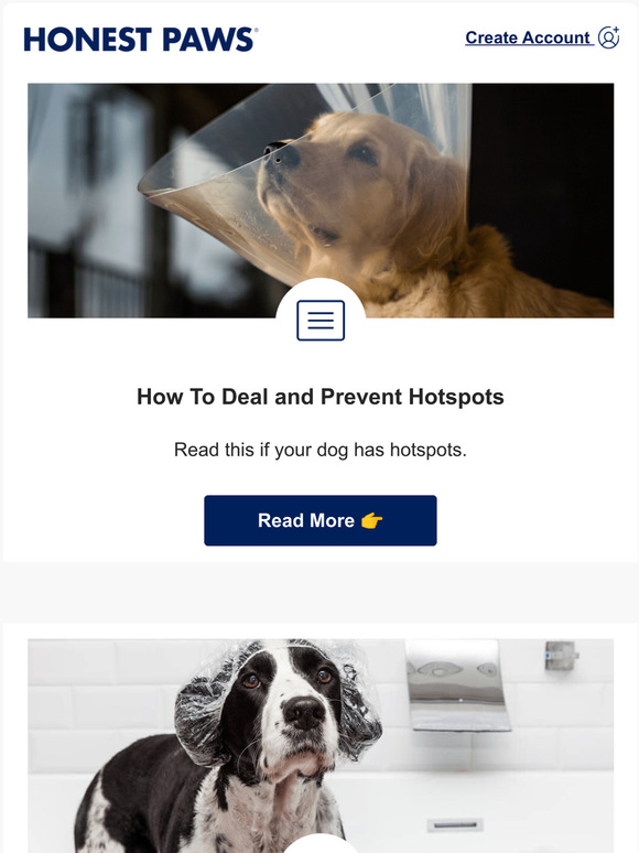Honest Paws How To Deal and Prevent Hotspots Milled