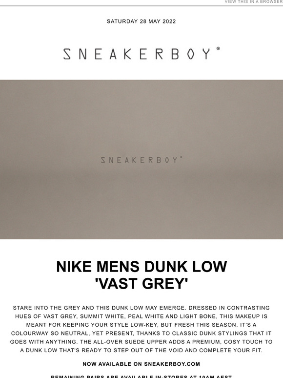 Nike MENS Dunk Low 'Vast Grey'