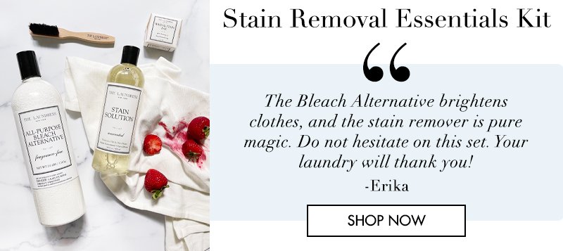 Stain Removal Essentials Kit