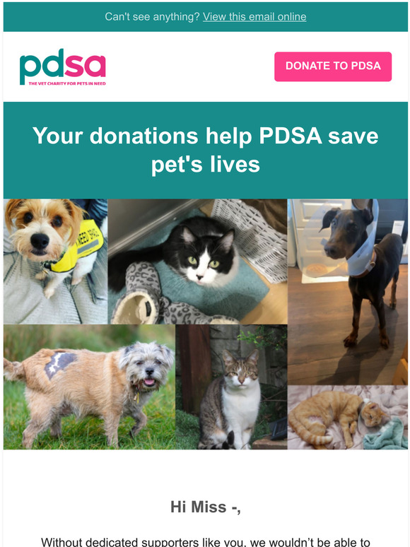 pdsa Your donations help PDSA save pets lives Milled