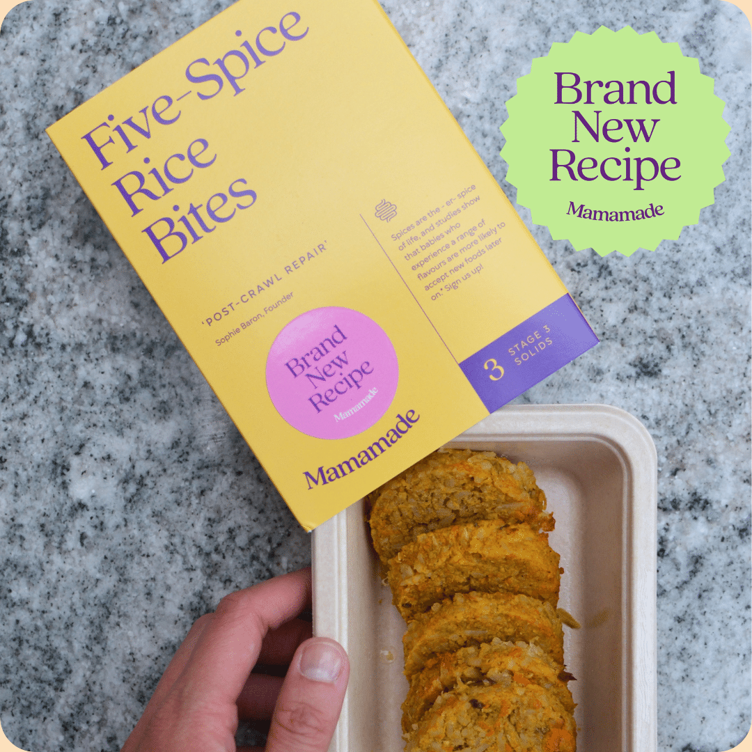 Mamamade New Finger Food Alert! Five Spice Rice Bites Milled