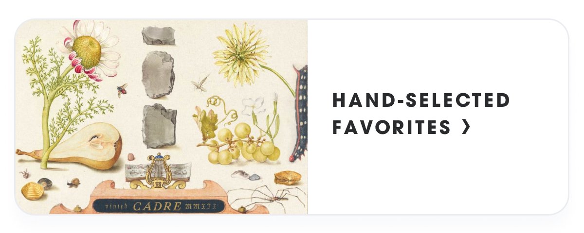 Hand selected favorites