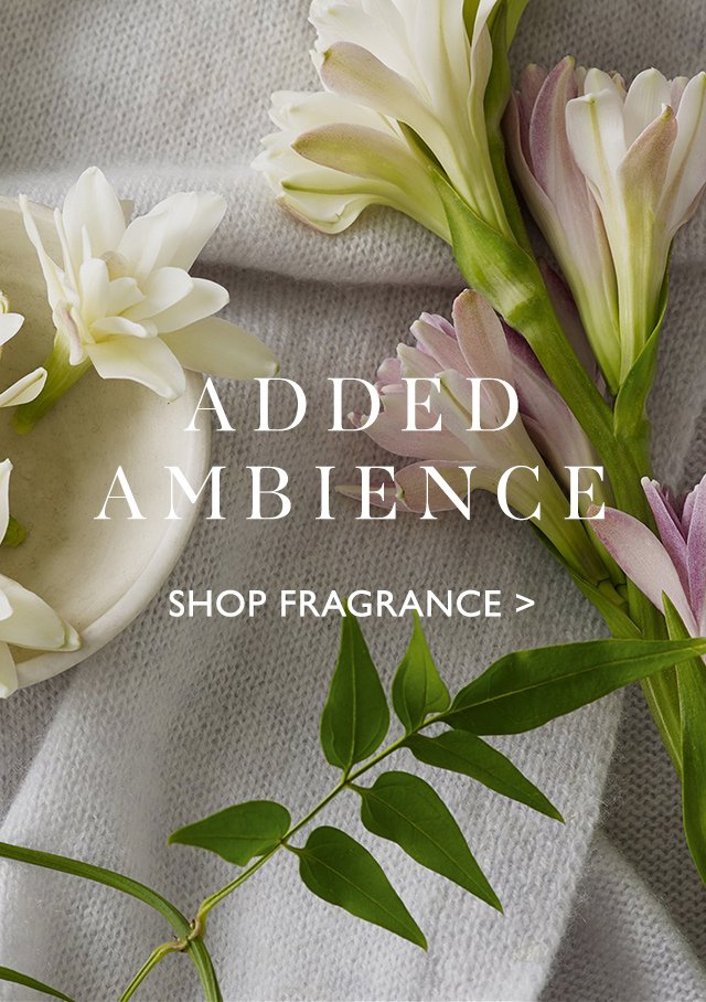 ADDED AMBIENCE | SHOP FRAGRANCE