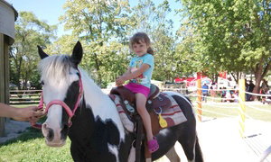 Up to 25% Off Admission to Green Meadows Petting Farm