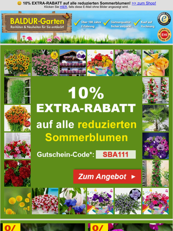 BALDURGarten KOO 10 EXTRARABATT auf alle reduzierten Sommerblumen
