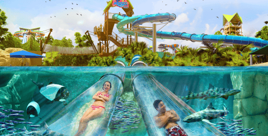 Reef Plunge