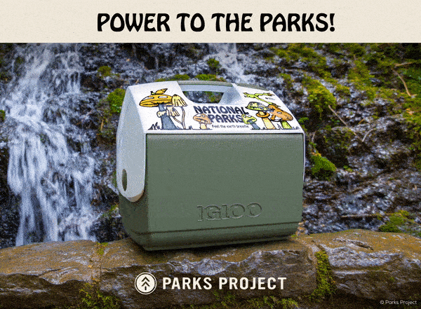 Parks Project Mushrooms ECOCOOL Playmate Elite 16 Qt Cooler