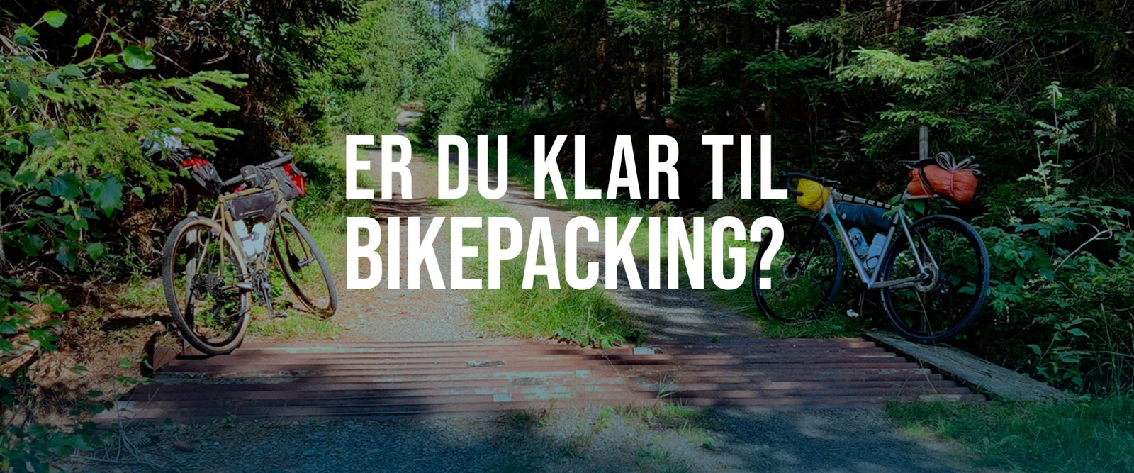 Kammerat Tilsvarende Næsten død cykelgear.dk: Gr din cykel klar til en sommer p grus | Find alt til gravel  og bikepacking | Milled