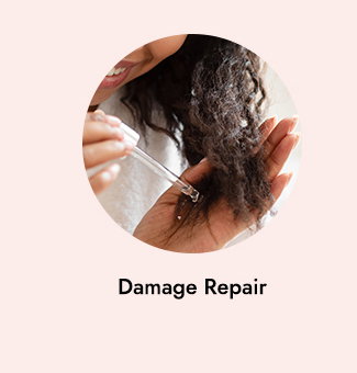 Damage Repair