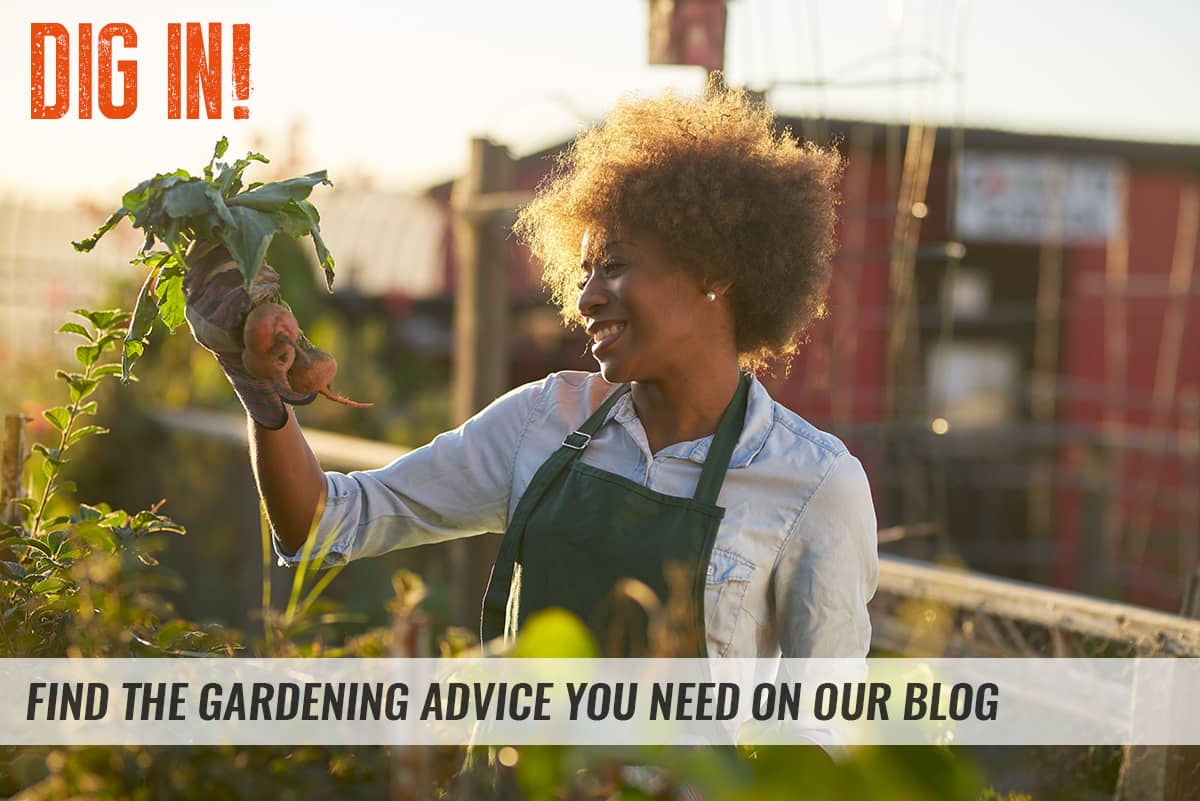 Gardening Blog Callout