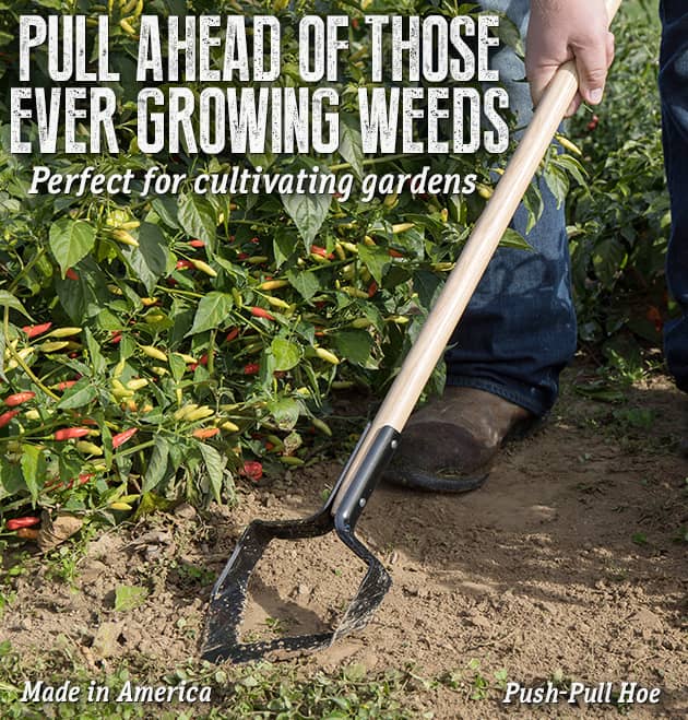 Push-Pull Hoe - SHOP DIGGING AND CULTIVATING