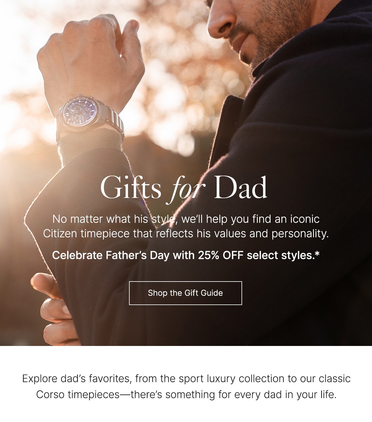 Father's Day Gift Guide - 25  Gifts and Finds
