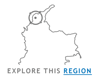 EXPLORE THIS REGION