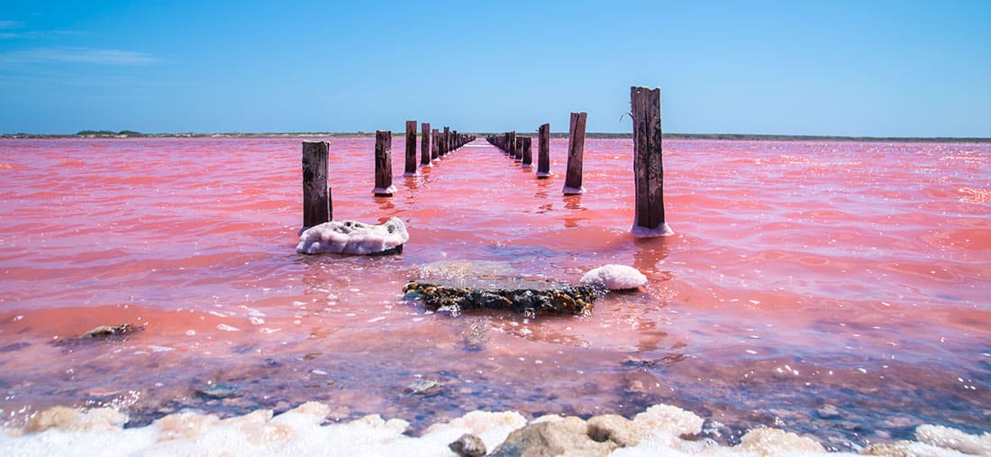 COLOMBIA'S PINK SEA