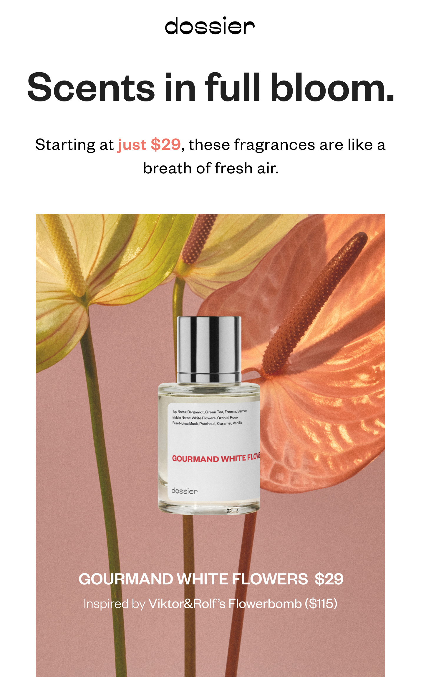 Rose Perfume - Dossier Perfumes