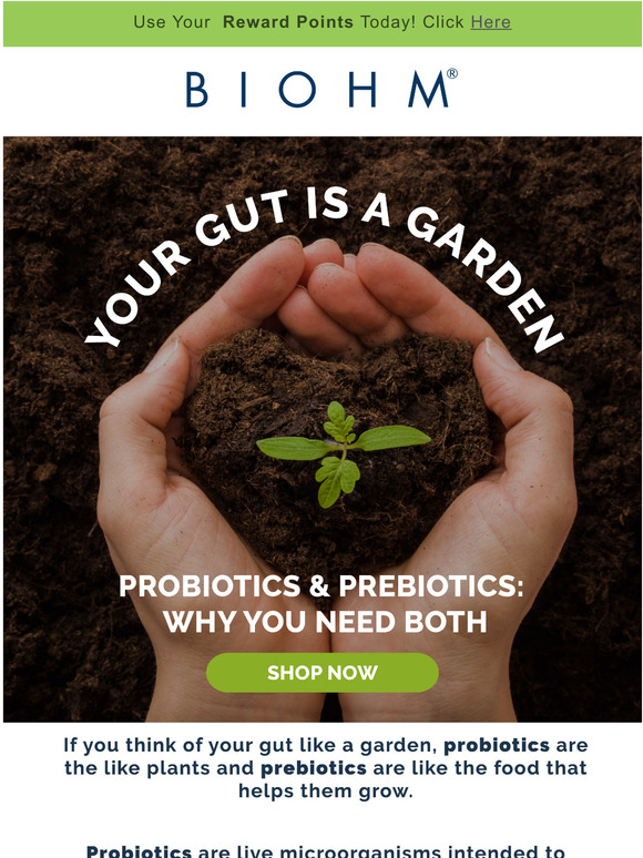 Biohm Health Your Gut Is A Garden Feed It What It Needs Milled