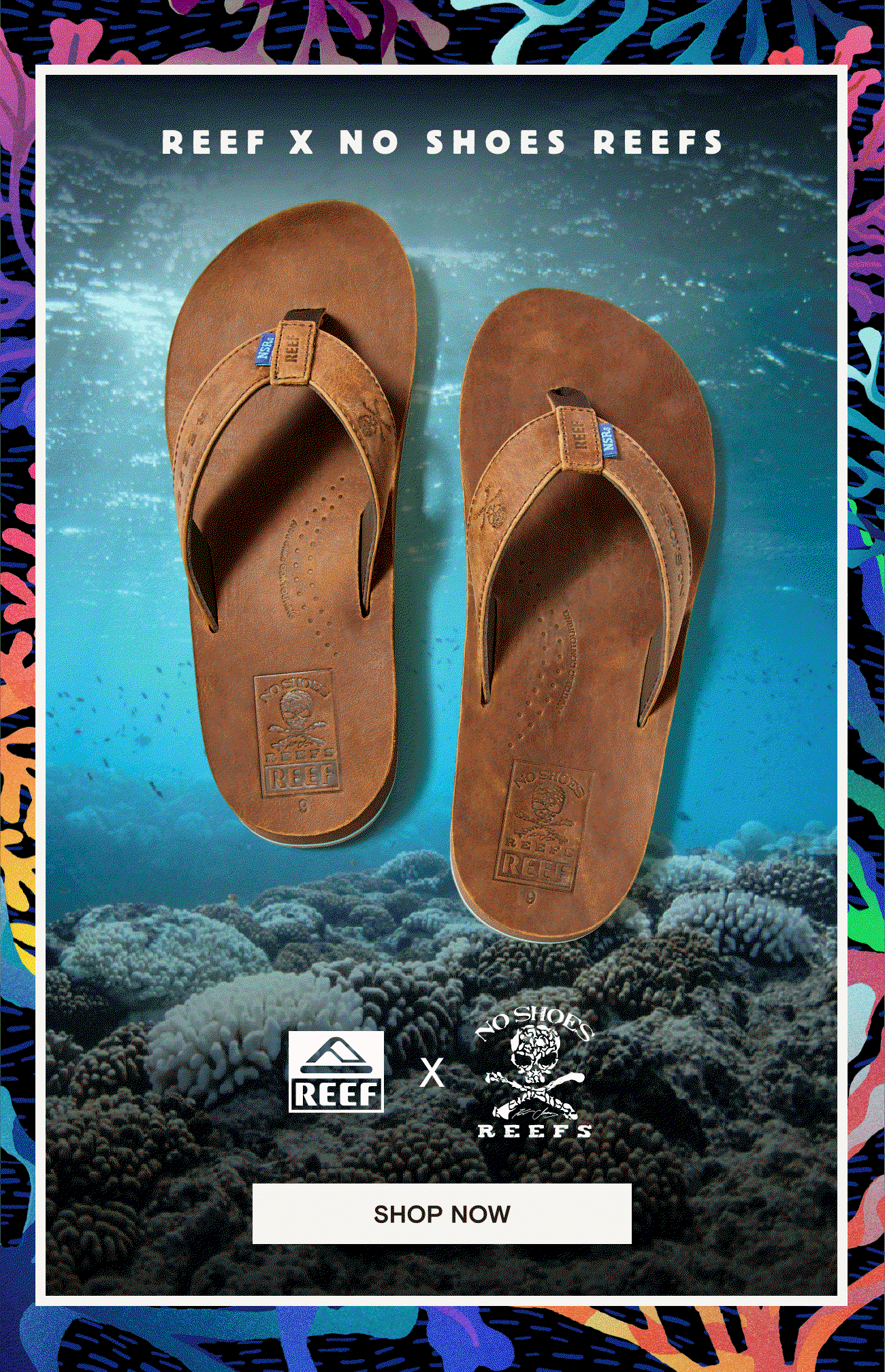 Reef: We partnered with No Shoes Reefs! | Milled