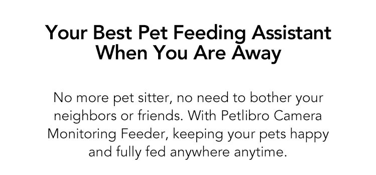 Your Best Pet Feeding Assistant