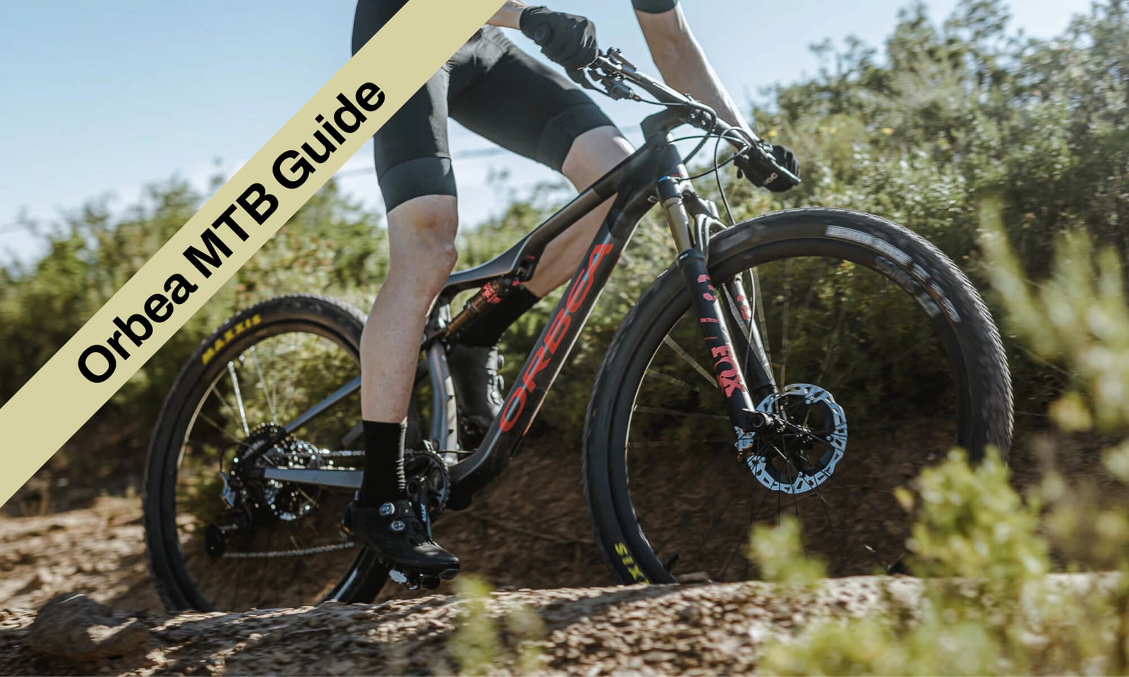 Orbea Mountain Bikes