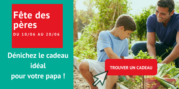 Affiche fête des pères