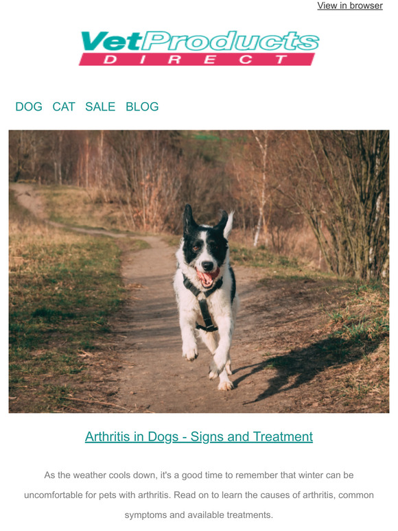 vet products direct Arthritis in Dogs🦴 Learn The Signs and Treatment