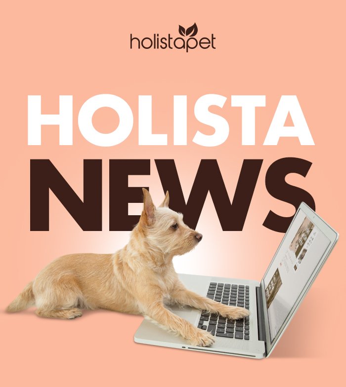 HolistaNews