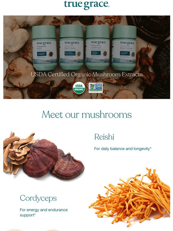 Introducing: USDA-Certified Organic Mushroom Extracts 🍄 – Save 15%