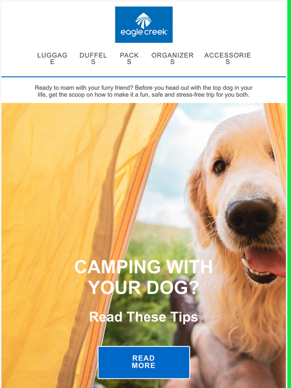 Eagle Creek The Ultimate Dog Packing List for Camping and Road Trips