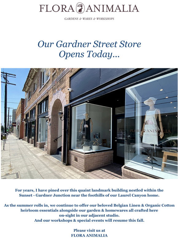 Flora Animalia: Our Gardner Street Store Opens Today... | Milled
