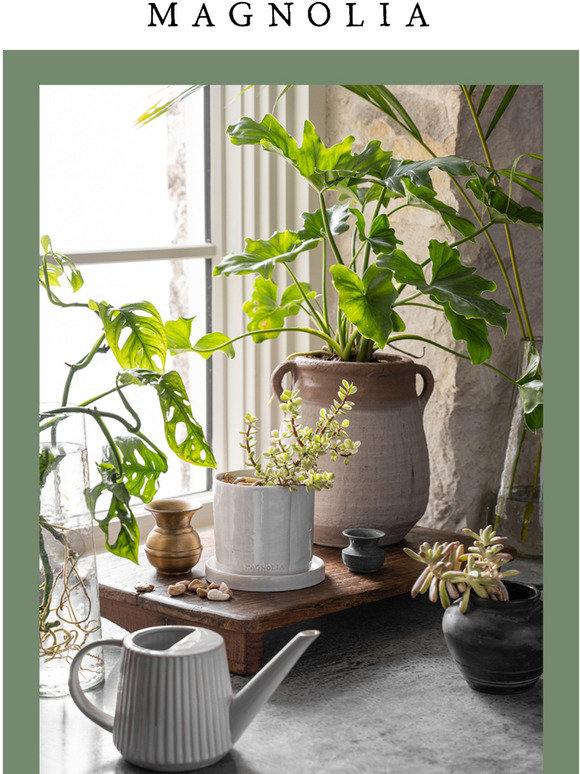 Magnolia Planters that bring the green indoors Milled