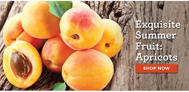 Exquisite Summer Fruit: Apricots