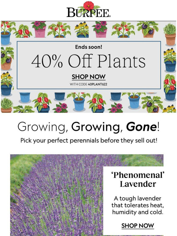 Burpee Gardening: 40% Off Plants Ends Soon! | Milled