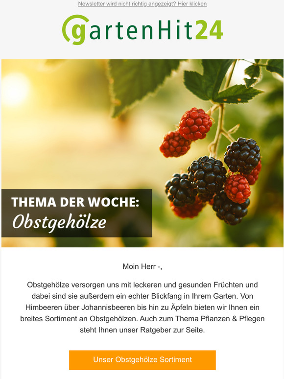 Obstgehölze für Ihren Garten! 🌳