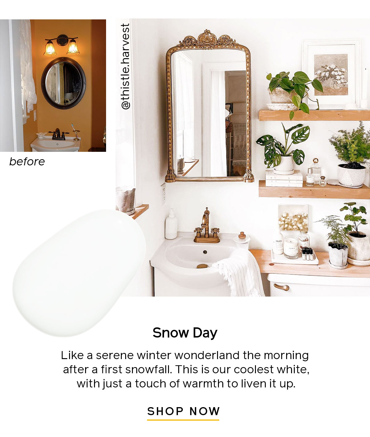 Snow Day, Cool White Paint Color