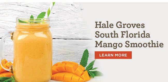 Hale Groves South Florida Mango Smoothie