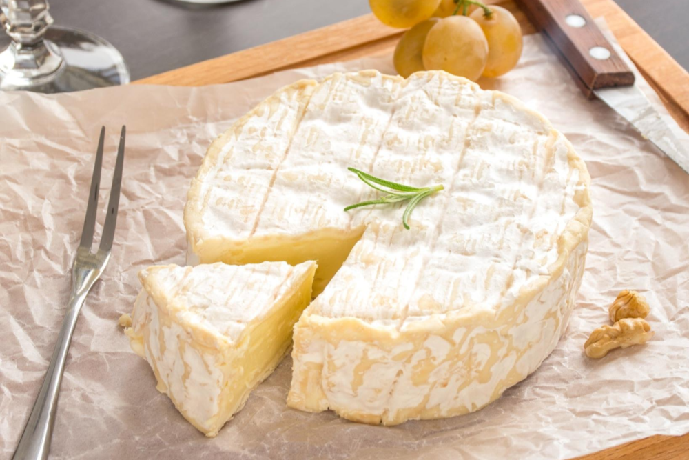 Lomi 8 Tips for Composting Cheese and Dairy 🧀 Milled