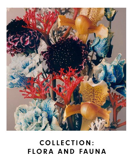 Collection: Flora and Fauna
