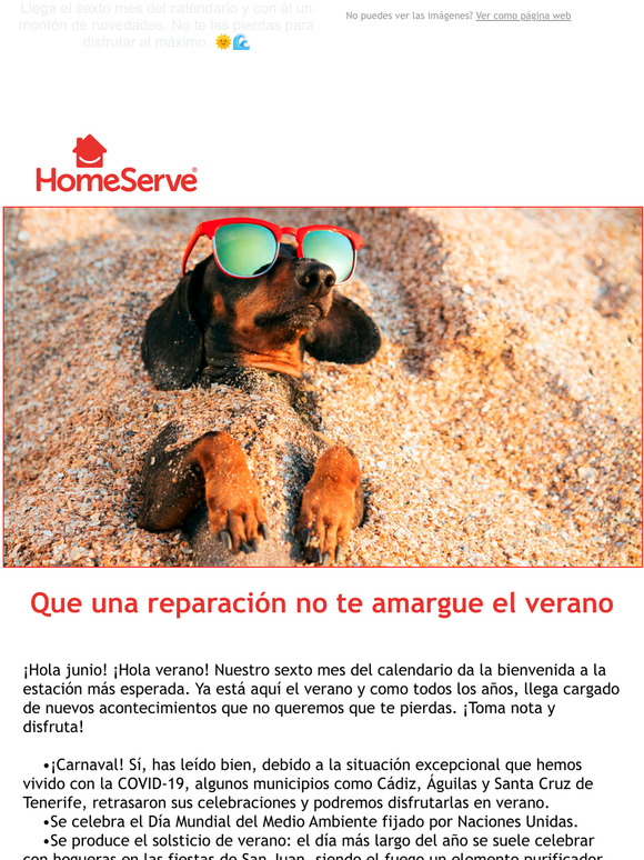 ¡Qué nada te amargue el verano! 🌻