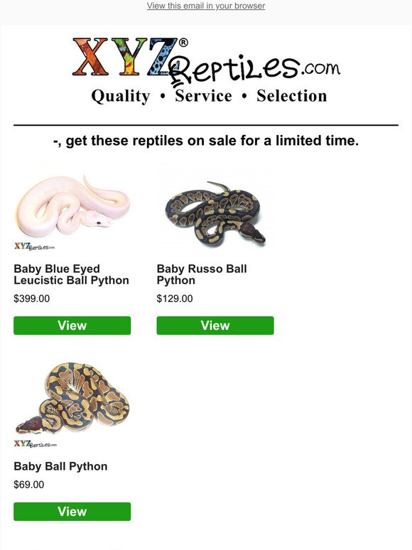 🐍Ball Pythons, Colubrids, Tortoises and Lizards On Sale Now