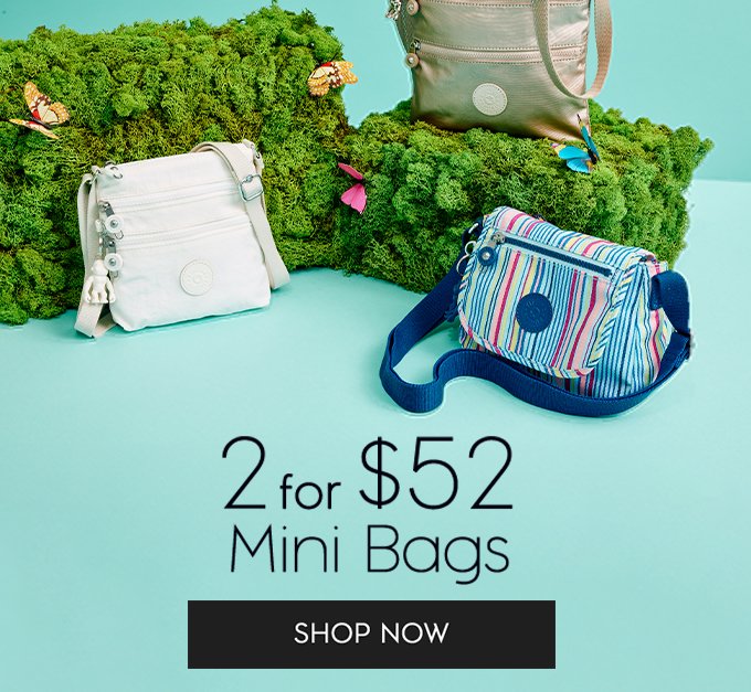 2 for $52 Mini Bags. SHOP NOW