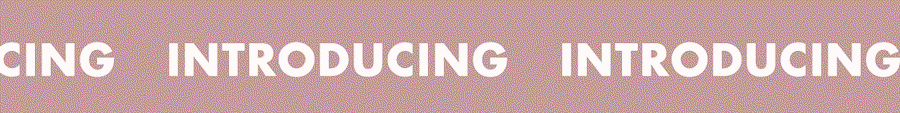 Introducing