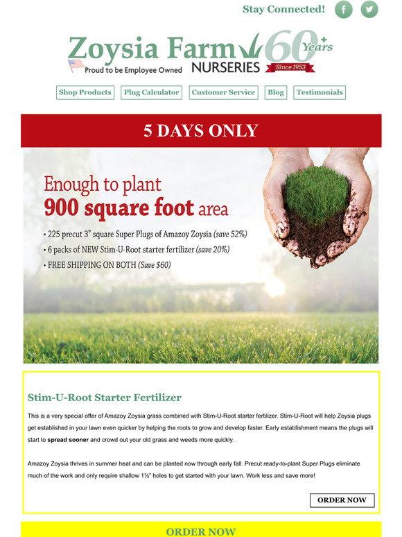 Zoysia Farms Free Shipping on Special Super Plugs and Fertilizer Pack
