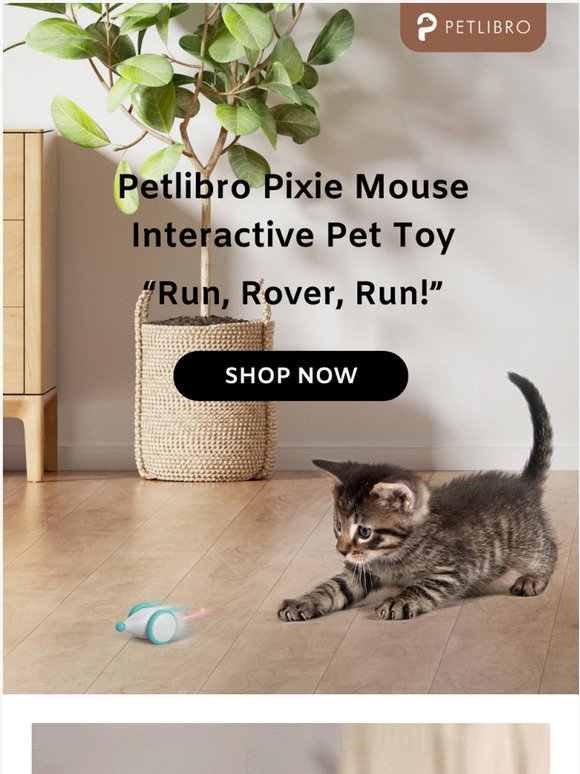 👋Say Hello To Petlibro Pixie Mouse!