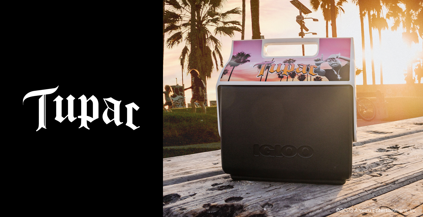 Igloo and NFL Kick off New Playmate Coolers Inspired by Fan-Favorite T