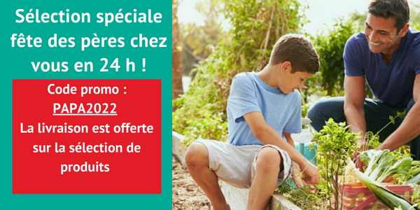 Affiche fête des pères